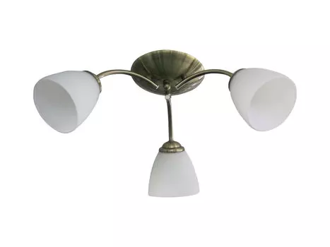 Потолочная люстра J-light Nina 1515/3C