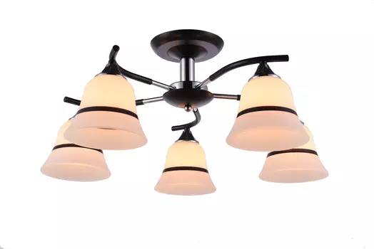 Потолочная люстра J-light Nori 1165/5C