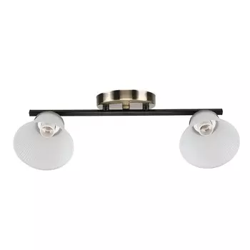 Потолочная люстра ЭкономСвет 10165 10165/2AB+BK WT