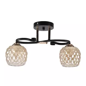 Потолочная люстра ЭкономСвет 12146 12146/2BK+FGD AMB