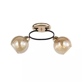 Потолочная люстра ЭкономСвет 12211 12211/2FGD+BK AMB