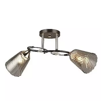 Потолочная люстра ЭкономСвет 12217 12217/2BK+FGD GR