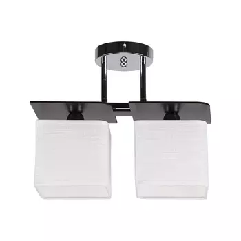 Потолочная люстра ЭкономСвет 24088 24088/2BK WT