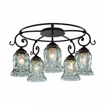 Потолочная люстра L'Arte Luce GELA L17755.19