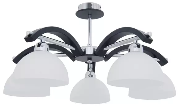 Потолочная люстра Lamplandia Astra 3636-5