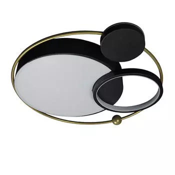 Потолочная люстра Loft It Mike 10064