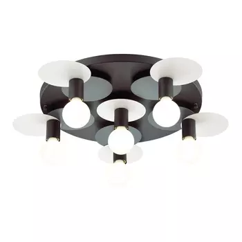 Потолочная люстра Lumion Aloy 3783/6C