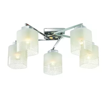 Потолочная люстра Lumion Ananda 3528/5C