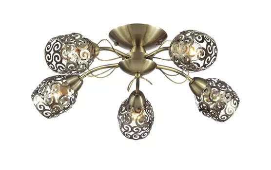 Потолочная люстра Lumion BERENIS 3264/5C