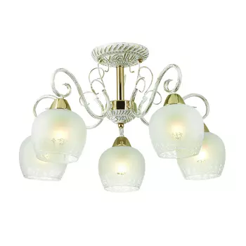 Потолочная люстра Lumion Biancopa 3505/5C