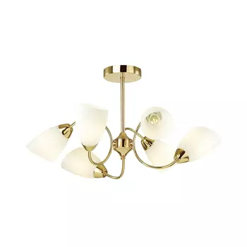 Потолочная люстра Lumion Darlene 4532/6C