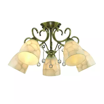 Потолочная люстра Lumion Eleconca 3511/5C