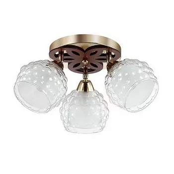 Потолочная люстра Lumion FEDERRO 3057/3C