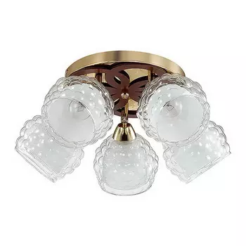 Потолочная люстра Lumion FEDERRO 3057/5C