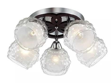 Потолочная люстра Lumion FEDERRO 3058/5C