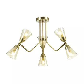 Потолочная люстра Lumion Ginger 4428/6C