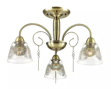 Потолочная люстра Lumion Hortensa 3289/3C