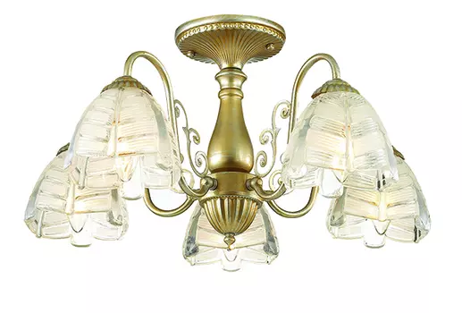 Потолочная люстра Lumion Jelis 3460/5C