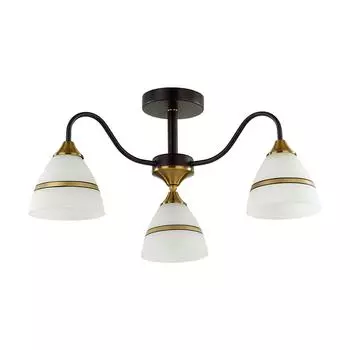 Потолочная люстра Lumion Nettie 5214/3C