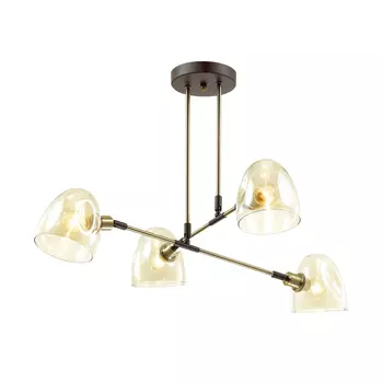 Потолочная люстра Lumion Noah 4434/4C