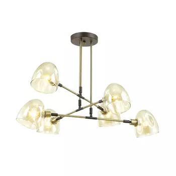 Потолочная люстра Lumion Noah 4434/6C