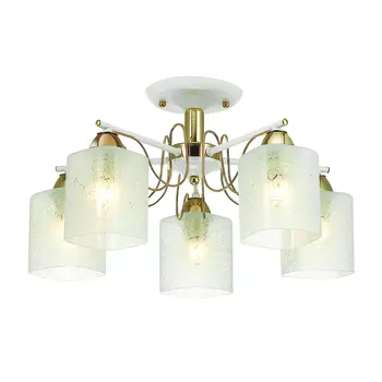 Потолочная люстра Lumion Opicus 3508/5C