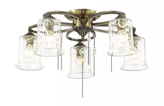 Потолочная люстра Lumion OTALIA 3242/5C