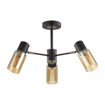 Потолочная люстра Lumion Ronnie 5644/3C