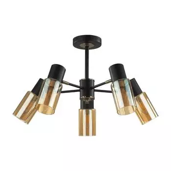 Потолочная люстра Lumion Ronnie 5644/5C