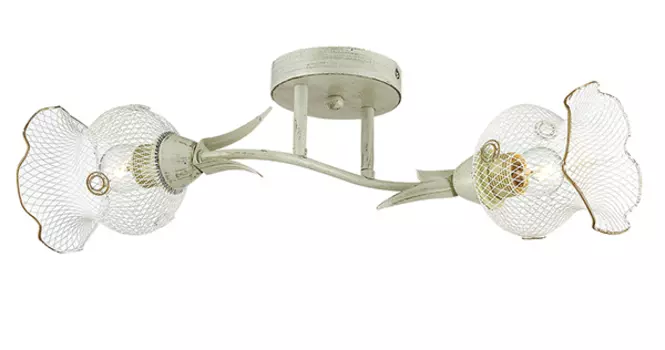 Потолочная люстра Lumion ROZETTA 3108/2C