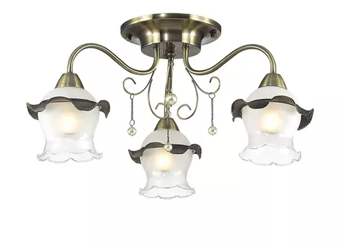 Потолочная люстра Lumion ZIDONI 3239/3C