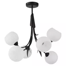 Потолочная люстра Lussole Bagheria LSF-6293-06