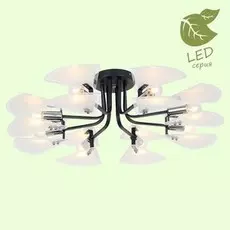Потолочная люстра Lussole Becharof GRLSP-8190