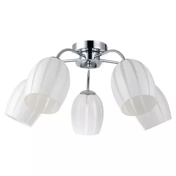 Потолочная люстра Lussole Brindisi LSF-6703-05