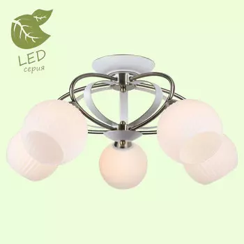 Потолочная люстра Lussole Fayetteville GRLSP-0166