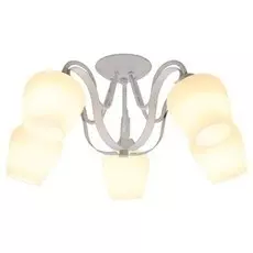 Потолочная люстра Lussole Fayetteville LSP-9909