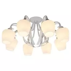 Потолочная люстра Lussole Fayetteville LSP-9910