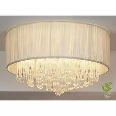Потолочная люстра Lussole GRLSC-9507-10