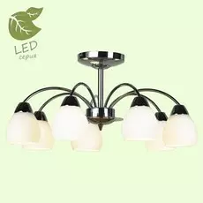 Потолочная люстра Lussole GRLSF-2403-07