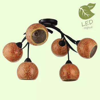 Потолочная люстра Lussole GRLSF-6213-06