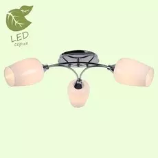 Потолочная люстра Lussole GRLSP-8074