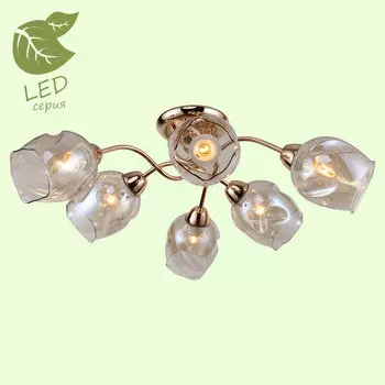 Потолочная люстра Lussole Cochise GRLSP-8086