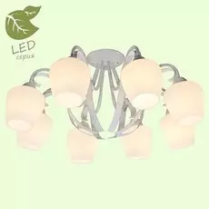 Потолочная люстра Lussole GRLSP-9910
