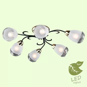 Потолочная люстра Lussole Oakland GRLSP-9952