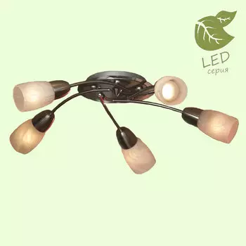 Потолочная люстра Lussole GRLSQ-6907-05