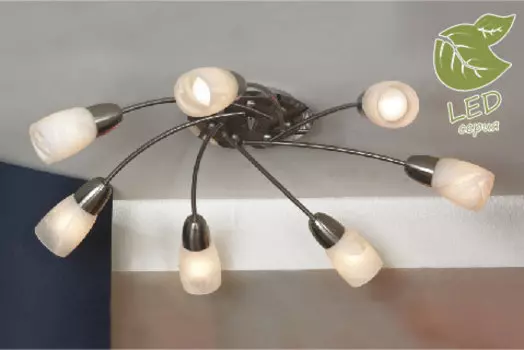 Потолочная люстра Lussole GRLSQ-6907-07