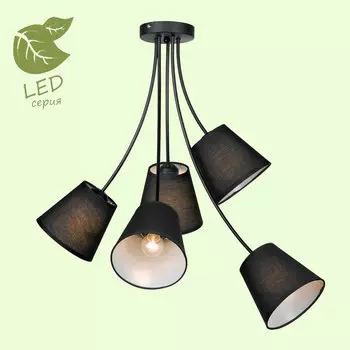 Потолочная люстра Lussole Lafayette GRLSP-8266