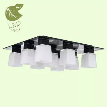 Потолочная люстра Lussole Lente GRLSC-2507-09