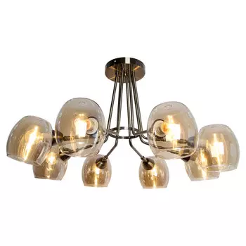 Потолочная люстра Lussole Selawik LSP-8185