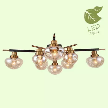Потолочная люстра Lussole Oahe GRLSP-8142